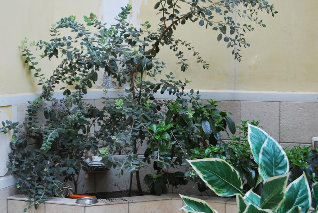 Apartment Casa Francesca Συρακούσες Εξωτερικό φωτογραφία